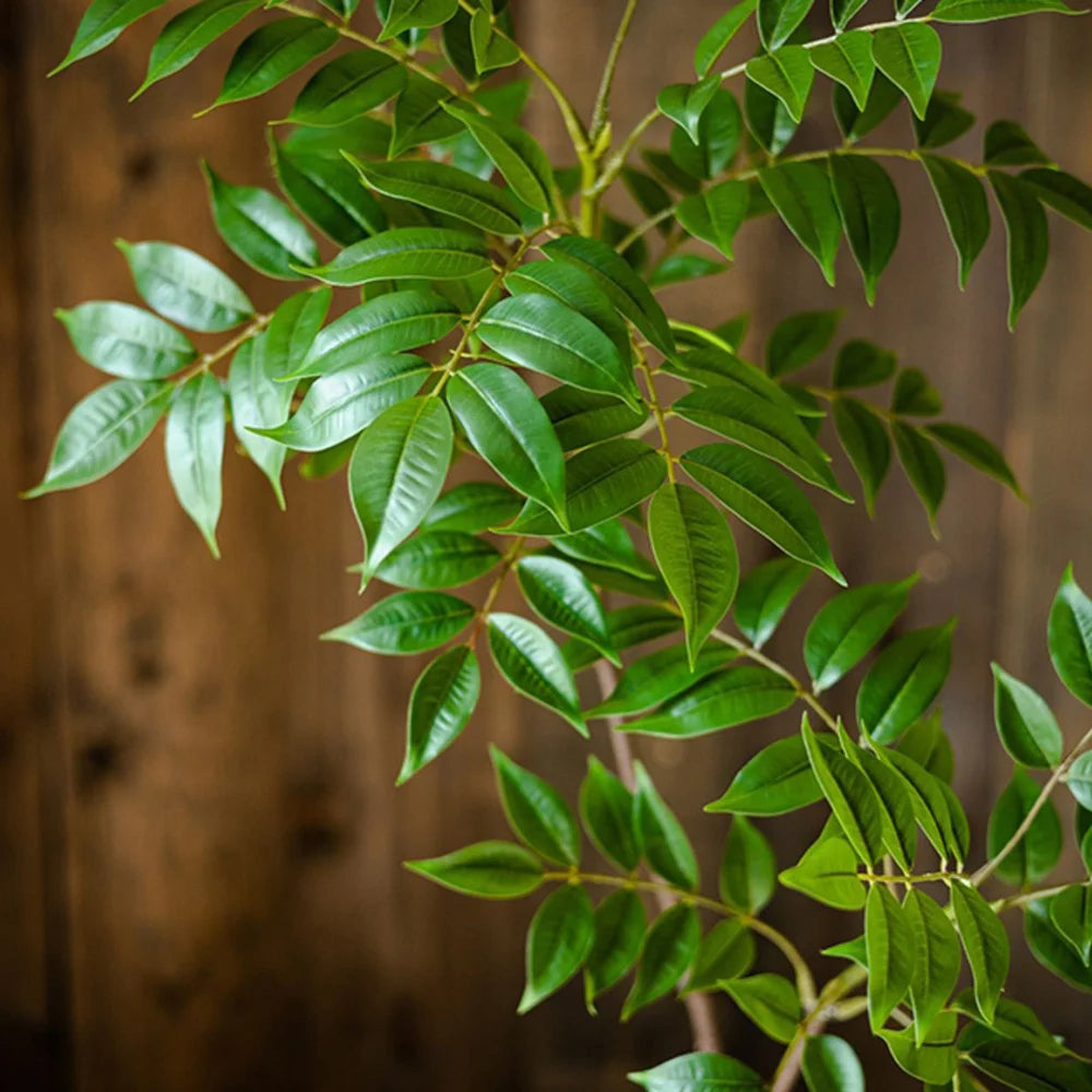 Artificial Ficus Tree