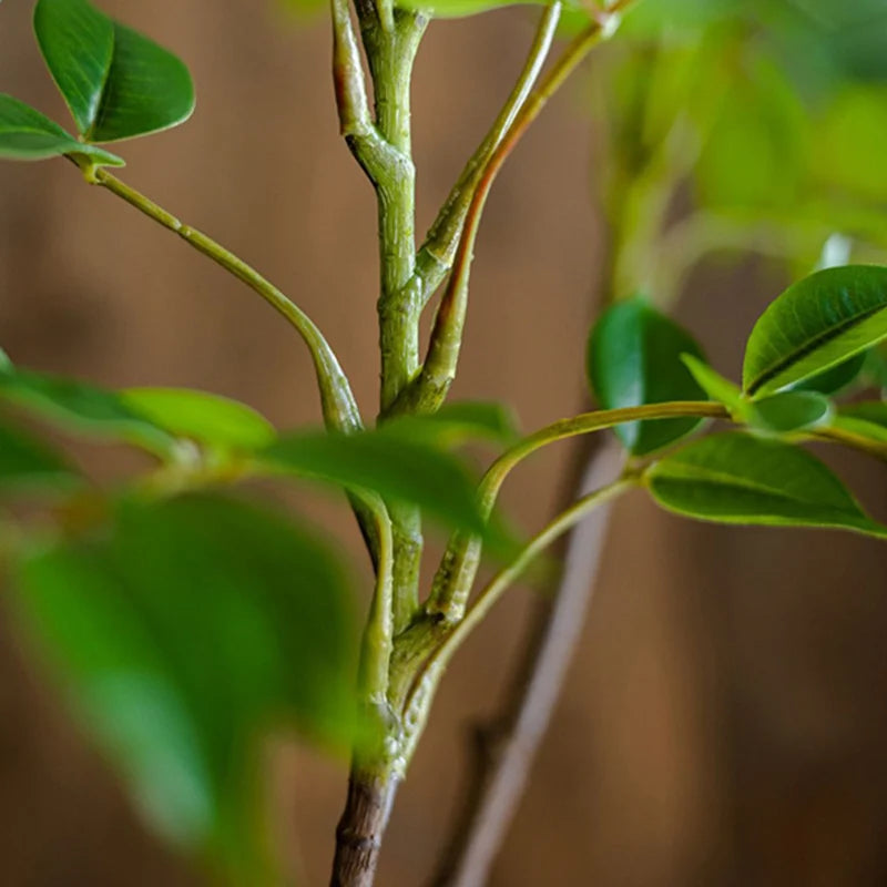 Artificial Ficus Tree