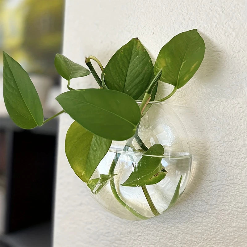 Wall Hanging Glass Vase